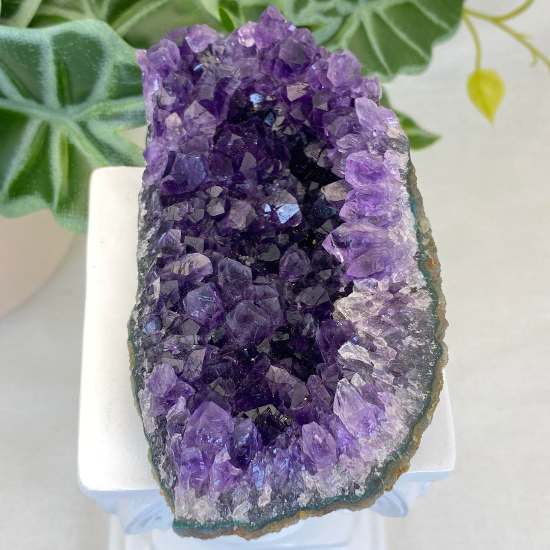 Amethyst Cluster #11