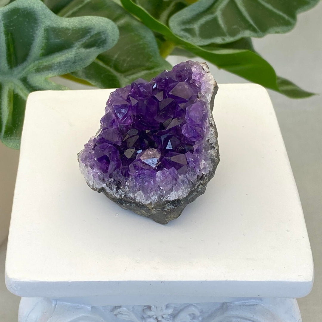 Amethyst Cluster #2 - Small