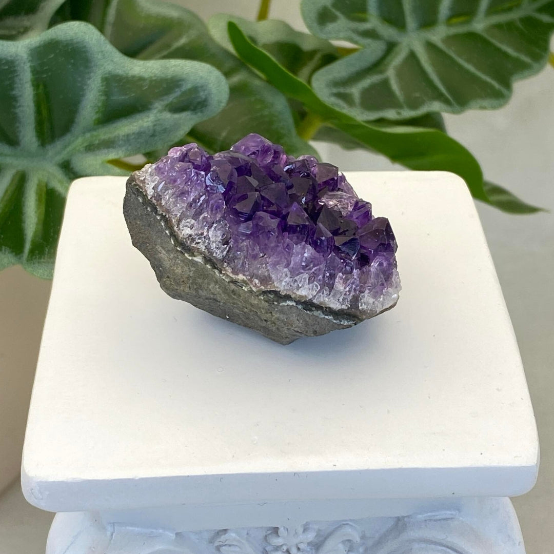 Amethyst Cluster #2 - Small