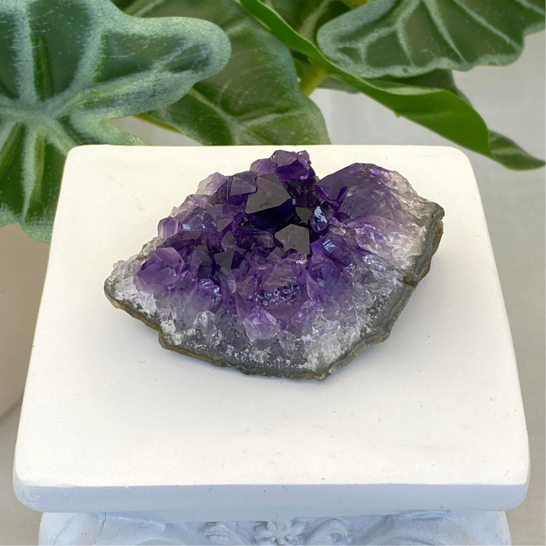 Amethyst Cluster #3 - Small