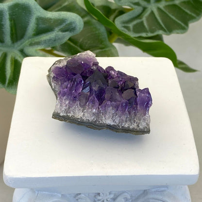 Amethyst Cluster #3 - Small