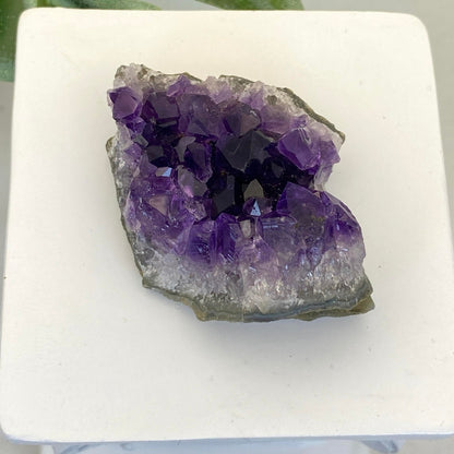 Amethyst Cluster #3 - Small