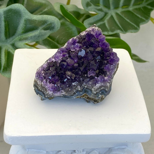 Amethyst Cluster #4 - Small