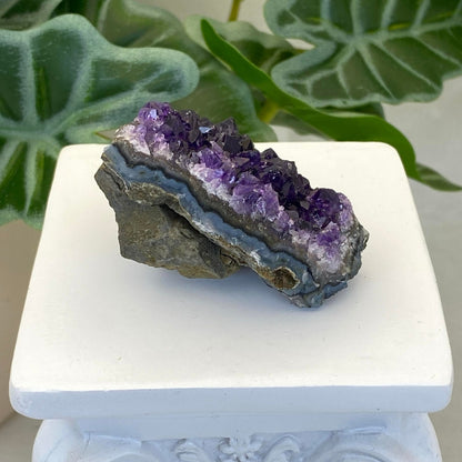 Amethyst Cluster #4 - Small