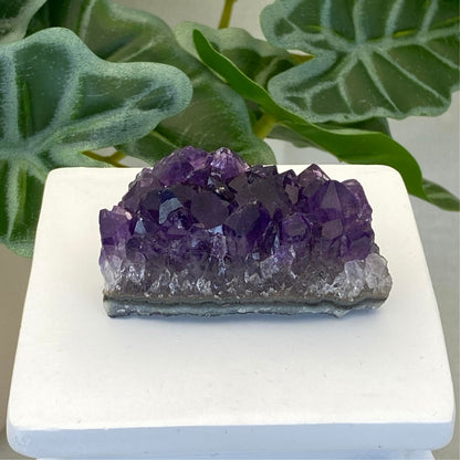 Amethyst Cluster #5 - Small