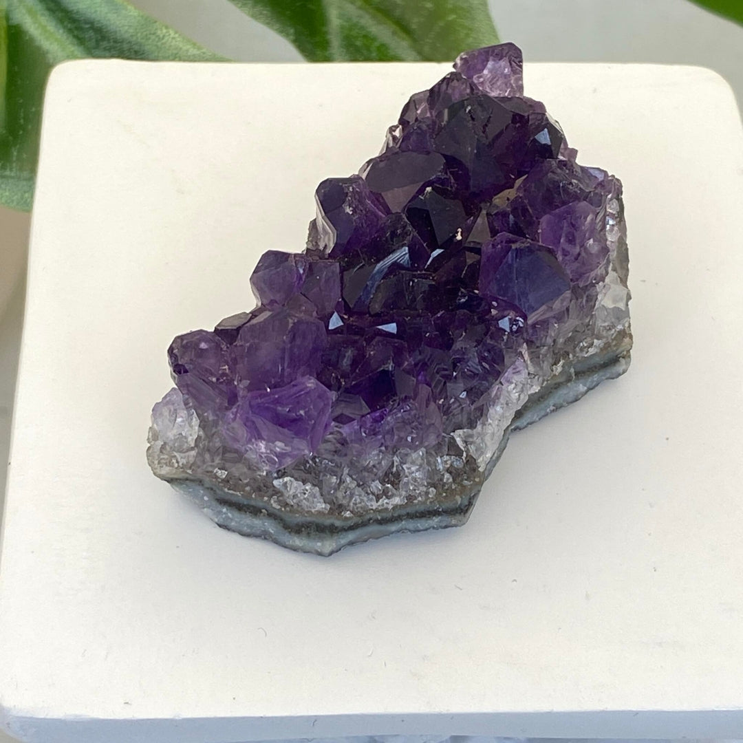 Amethyst Cluster #5 - Small