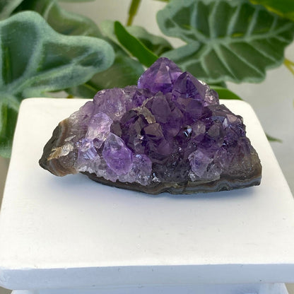 Amethyst Cluster #6 - Small