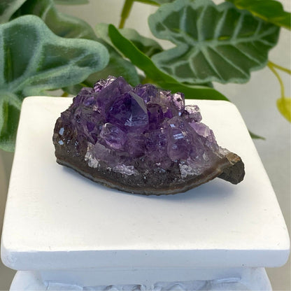 Amethyst Cluster #6 - Small