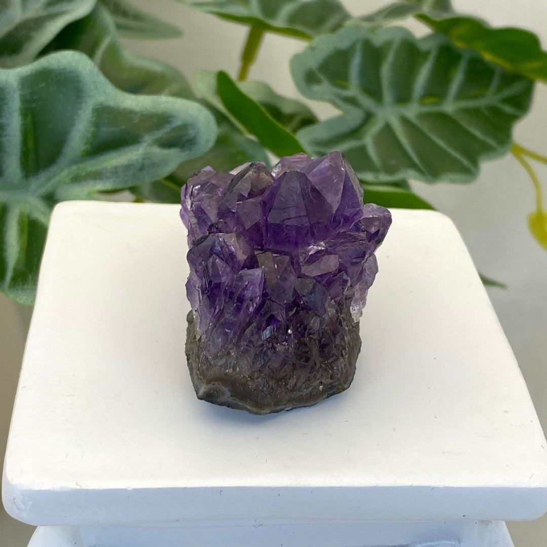 Amethyst Cluster #6 - Small