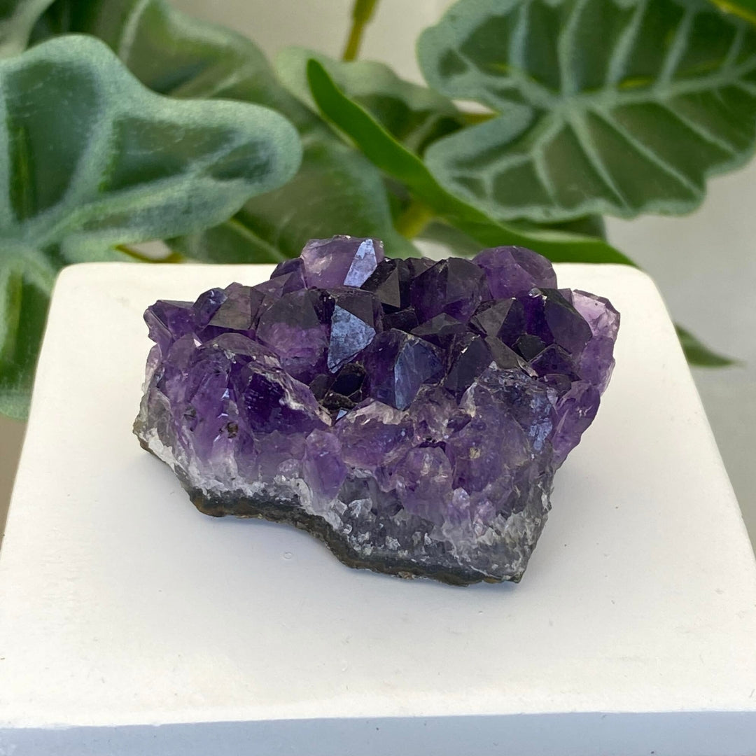 Amethyst Cluster #7 - Small