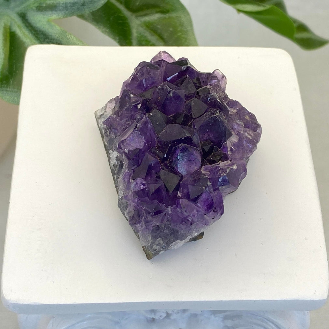 Amethyst Cluster #7 - Small