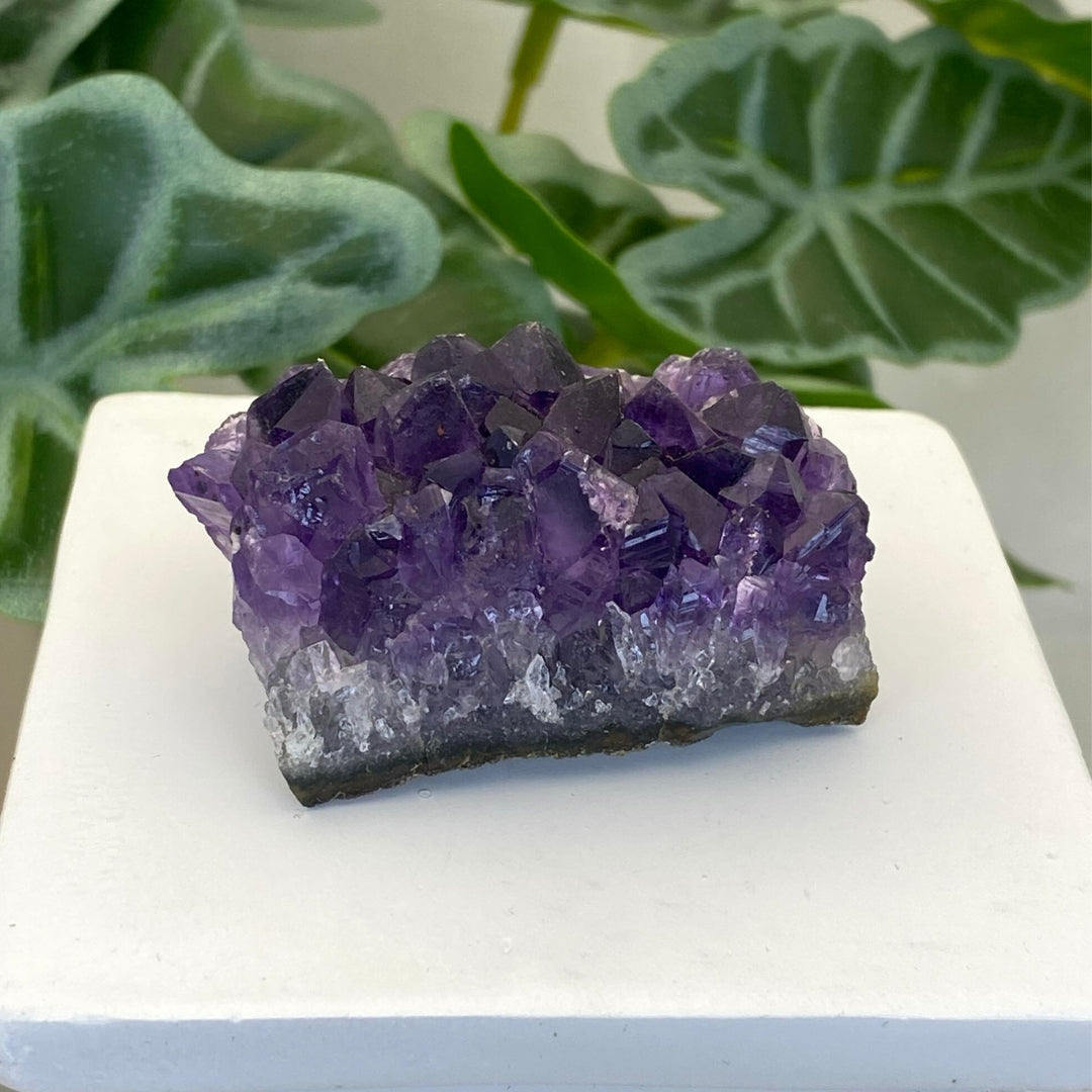 Amethyst Cluster #7 - Small