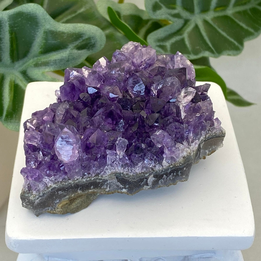 Amethyst Cluster #8