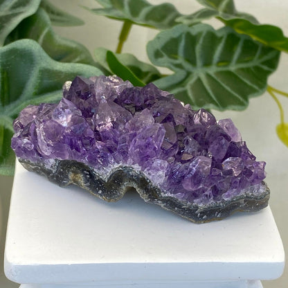 Amethyst Cluster #8