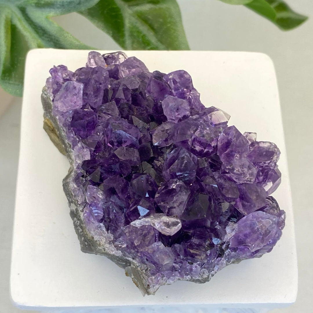 Amethyst Cluster #8