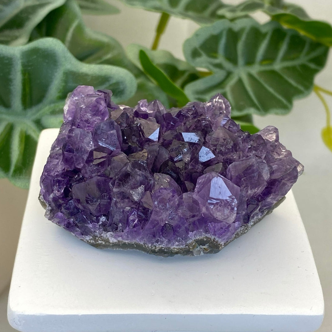 Amethyst Cluster #9