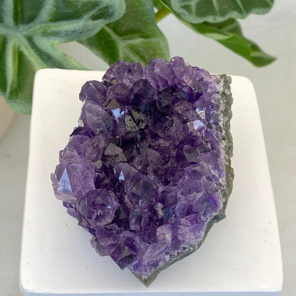 Amethyst Cluster #9