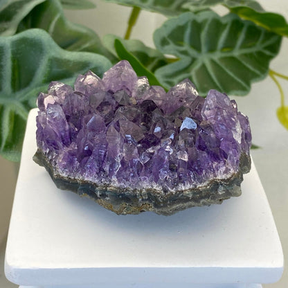 Amethyst Cluster #9