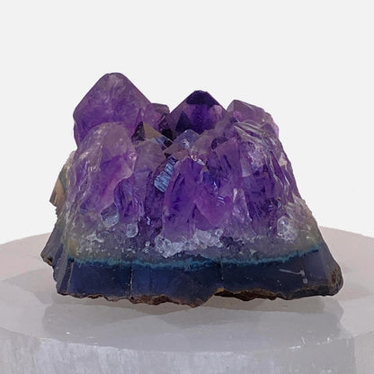 Amethyst Cluster