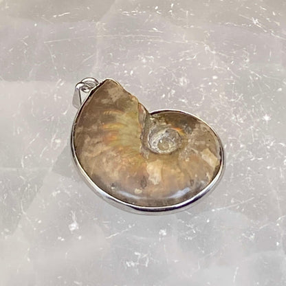 .925 Sterling Silver Ammonite Pendant #2