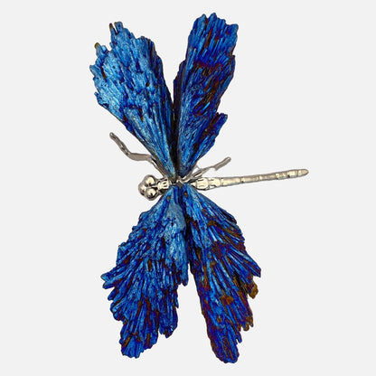 Aura Blue Kyanite Dragonfly #2