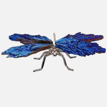 Aura Blue Kyanite Dragonfly #2