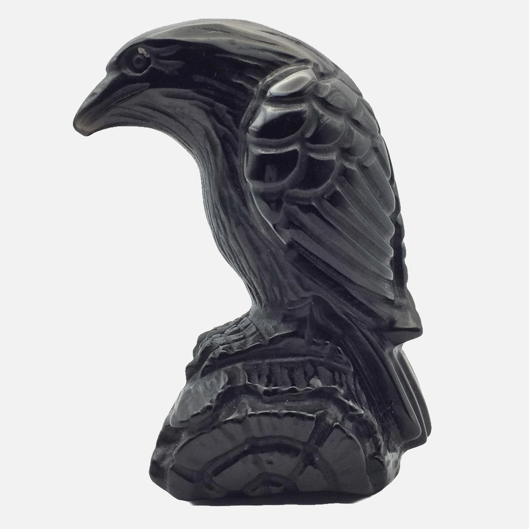 Black Obsidian Raven