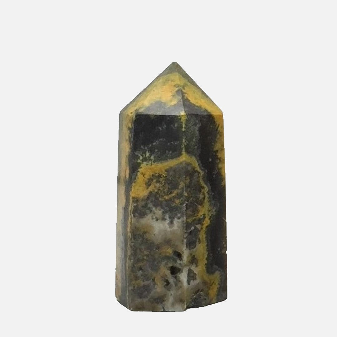 Bumblebee Jasper Point #4