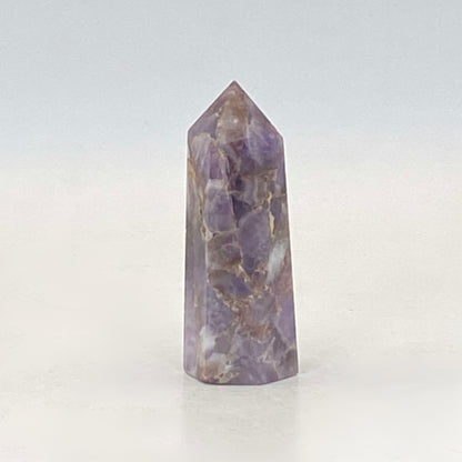 Dream Amethyst Point #1 - Small