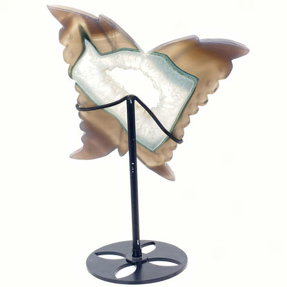 Druzy Blue Agate Butterfly on Stand #2 - Large