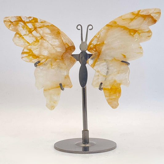 Golden Healer Butterfly Wings on Stand #1 - Medium