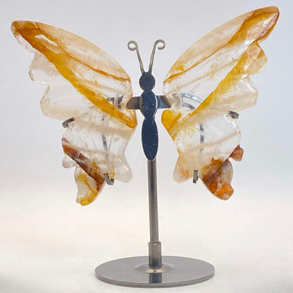 Golden Healer Butterfly Wings on Stand #2 - Medium