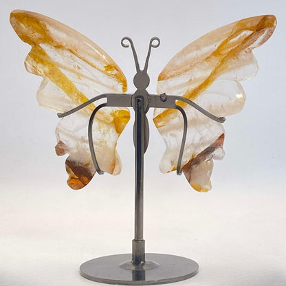 Golden Healer Butterfly Wings on Stand #2 - Medium