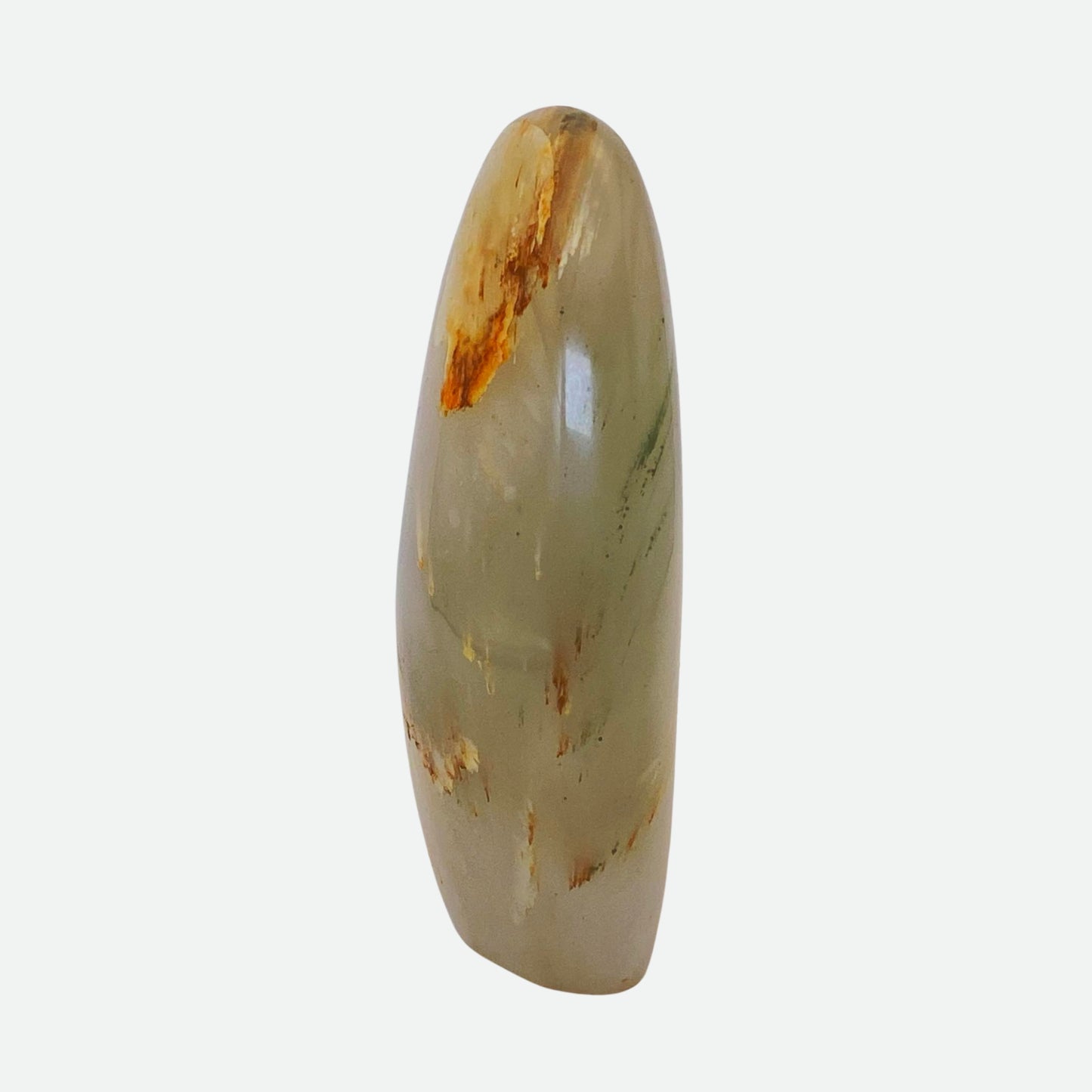 Green Agate with Petrified Wood Freeform #5