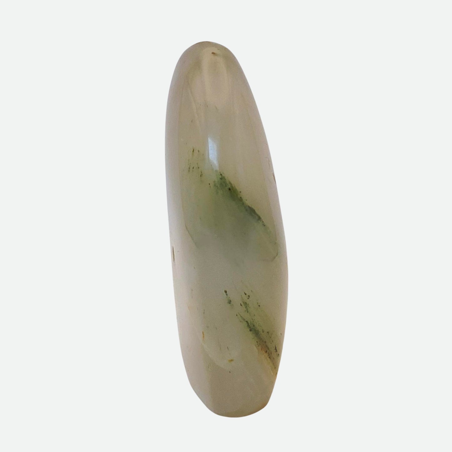 Green Agate with Petrified Wood Freeform #5