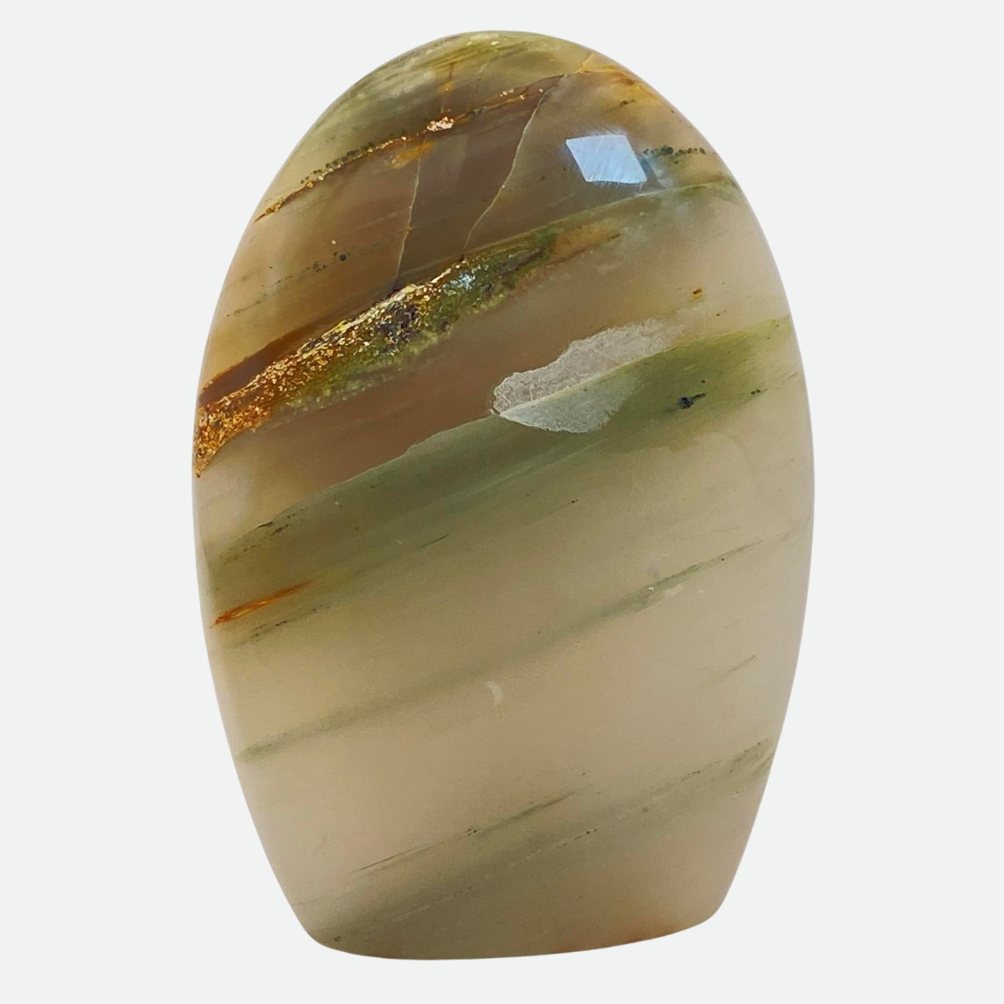 Green Agate with Petrified Wood Freeform #7