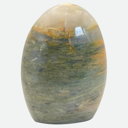 Green Agate with Petrified Wood Freeform #8