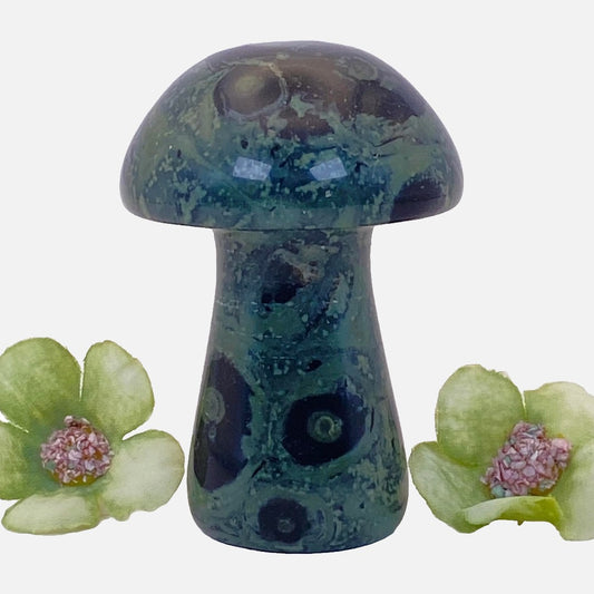 Kambaba Jasper Mushroom #2