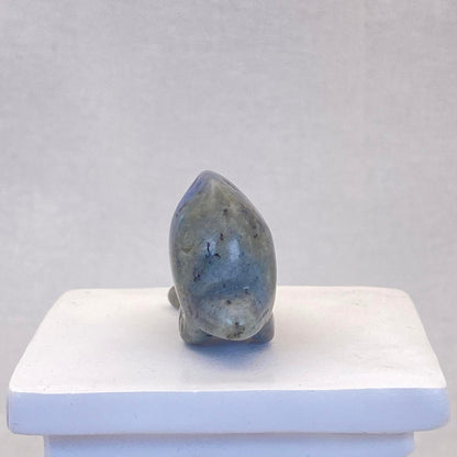 Labradorite Dolphin #1 - Small