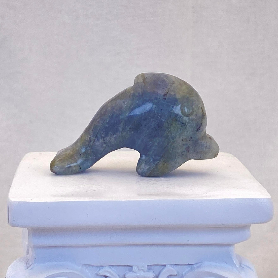 Labradorite Dolphin #1 - Small