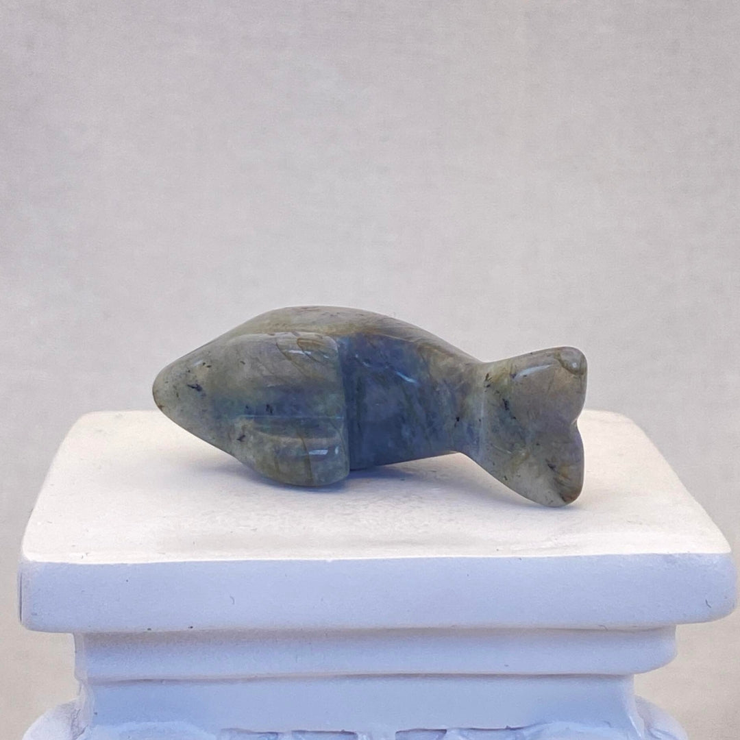 Labradorite Dolphin #1 - Small