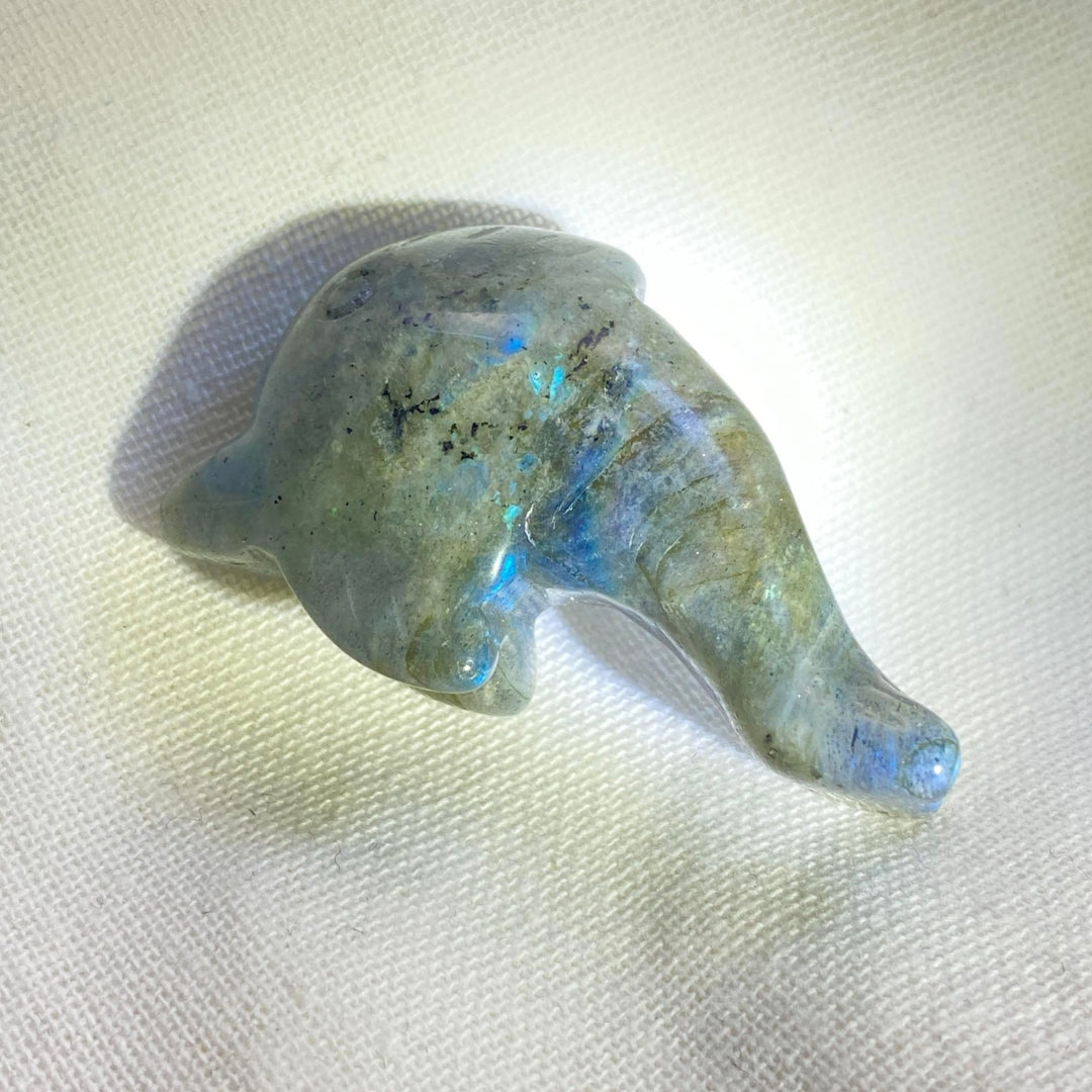 Labradorite Dolphin #1 - Small