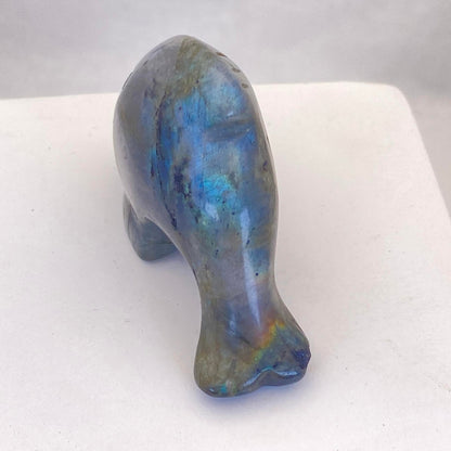 Labradorite Dolphin #2 - Small