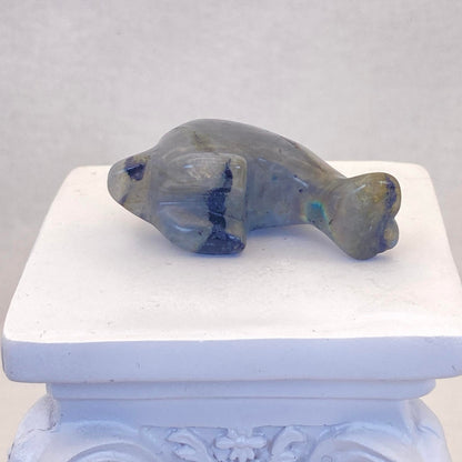 Labradorite Dolphin #2 - Small