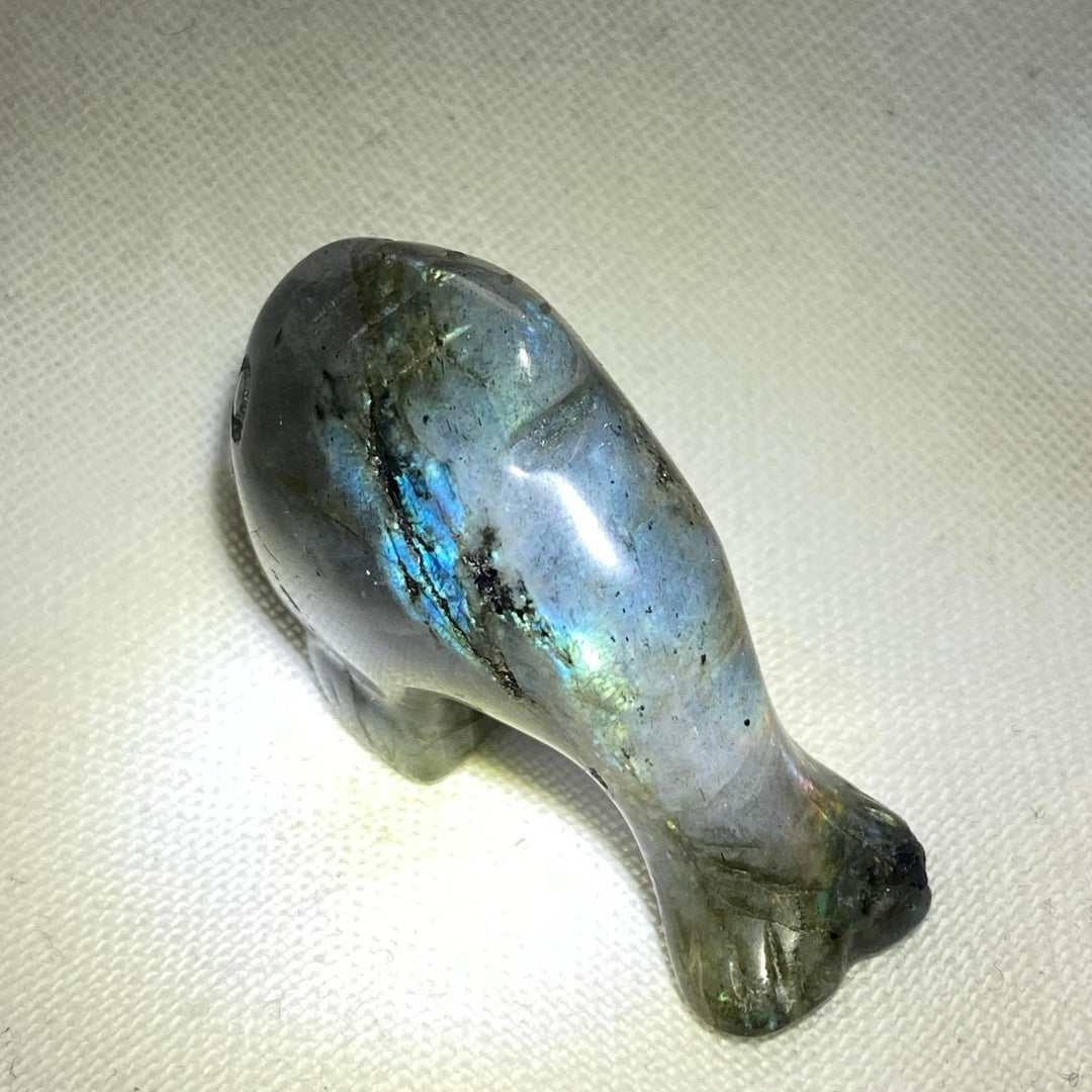 Labradorite Dolphin #2 - Small