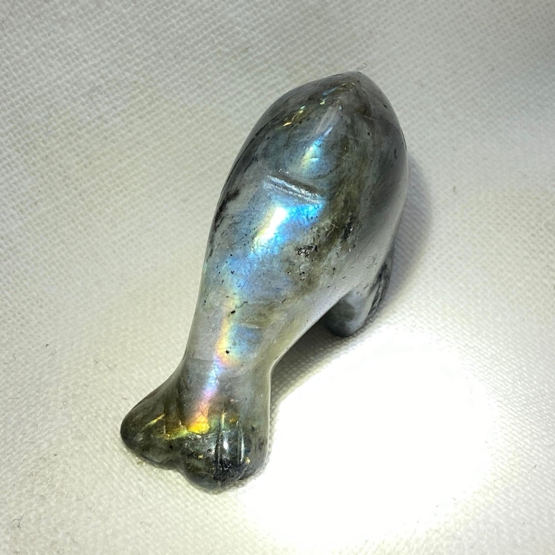 Labradorite Dolphin #2 - Small