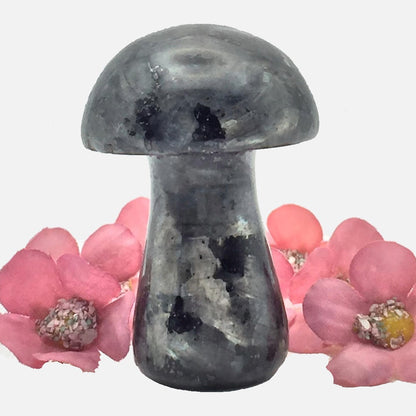 Larvikite Mushroom