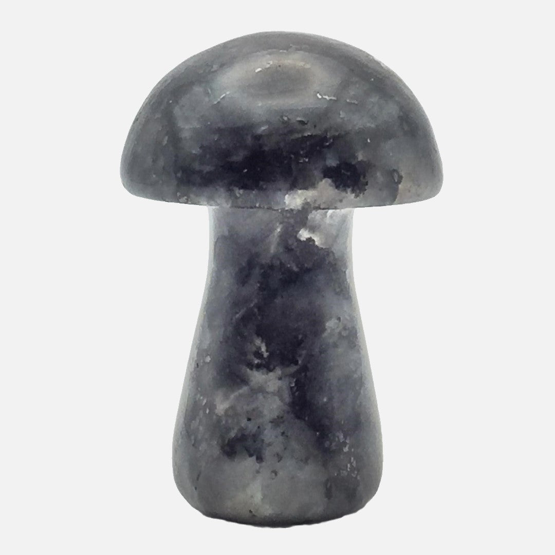 Larvikite Mushroom