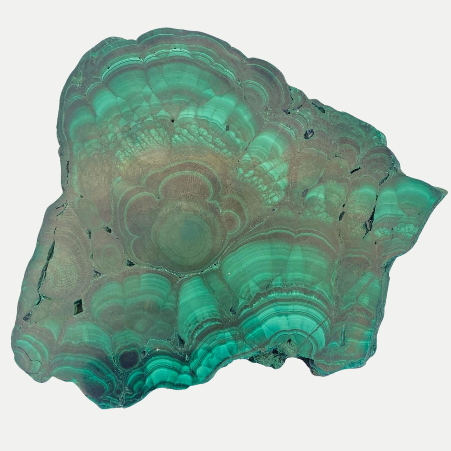 Natural Malachite Slab #2 with FREE Stand!