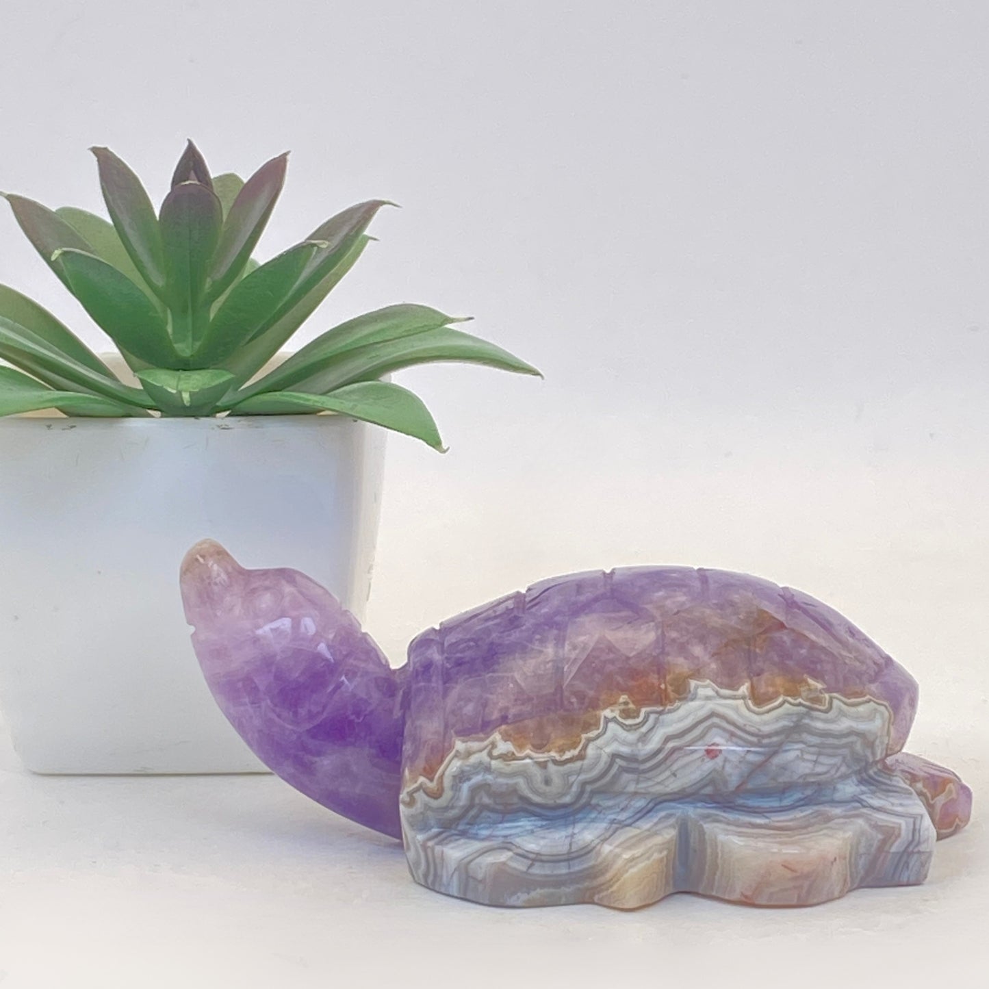 Mexican Agate with Amethyst Turtle